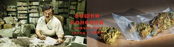 метадон Дмитриев