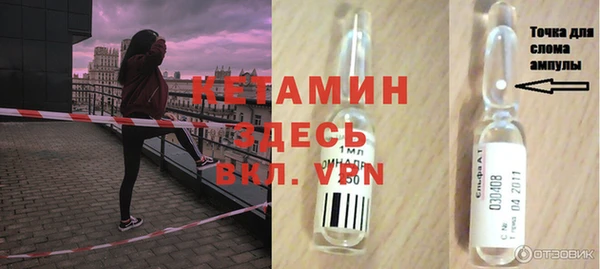 шишки Алексин